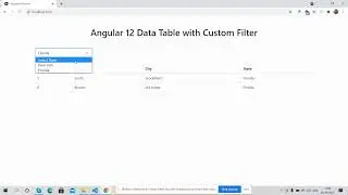 Angular 12 Table Data with Custom Filter Working Demo