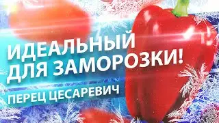 РАССАДА ПЕРЦА 2020. КАКОЙ СОРТ ВЫБРАТЬ?