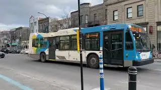 Buses in Montreal, Canada 2023 - Société de Transport de Montréal