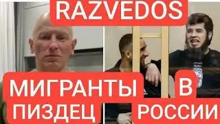 Razvedos про мигрантов таджиков пиздец в миграционной политике России Разведос : чеченцы дагестанцы