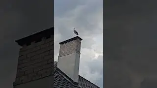 Взлет с участка 