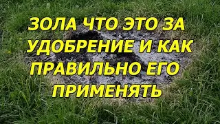 ЗОЛА что это за УДОБРЕНИЕ и как ПРАВИЛЬНО его применять.