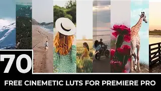 70 Free Cinematic LUTS For Adobe Premiere Pro | Free LUTS