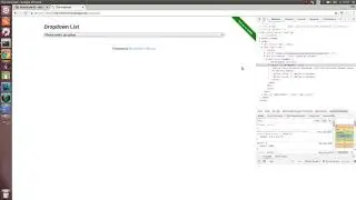 13 Working with forms and inputs - WebdriverIO