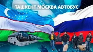 Узбекистан Россия билет 2023 / Ташкент Москва автобус / Ташкент Санкт-Петербург автобус 2023