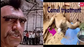 Amrish Puri Dialogue On Camel leg Cut Incident In Sindh