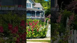 AMAZING Garden & Giant Flowers!! #mackinacisland #gardening #flowers