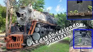 Locomotora Histórica en parque de Guadalajara! Se está pudriendo. Salió en una serie | NdeM 3027