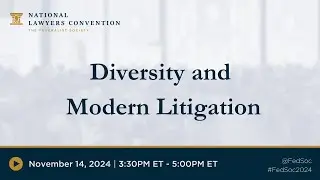 Diversity and Modern Litigation [2024 NLC]