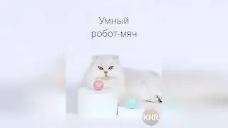 Умный робот-мяч для кошек и собак. Интерактивная игрушка-дразнилка для домашних животных.