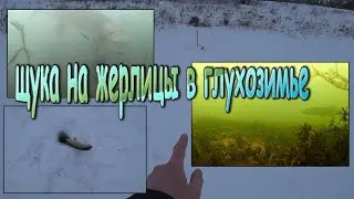 Щука на жерлицы в феврале!Подводная камера сняла поклёвку!Нюанс, который заставил зубастую клевать!