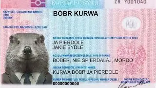 Все мешапы BOBR KURWA