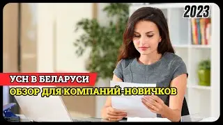 Из ИП в юрлицо: когда стоит применять УСН? | Выпуск 3