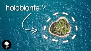 Cette île est-elle 