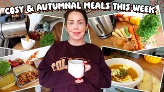 Autumnal Meals Of The Week | Budget, Warming, Delicious and Nutritious 🍂 Slow cooker, Batch Cooking