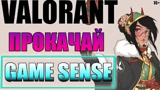 7 Советов как улучшить понимание игры в Valorant. Game sense гайд