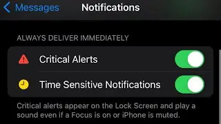 How To Enable/Disable Critical Alerts In Messages On iPhone