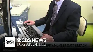 Cyber security expert talks about the social security number data breach