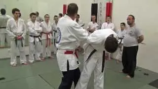 Джиу джитсу. От А до Я. Godai.