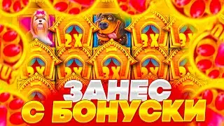 ЭТО БЫЛА ЛУЧШАЯ БОНУСКА В THE DOG HOUSE ЗА ПОСЛЕДНЕЕ ВРЕМЯ! ЗАНОС ПО СТАВКЕ 320Р! ЗАНОСЫ НЕДЕЛИ!