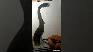 EASY HAIR DRAWING TUTORIAL! Random People Try to Sketch Hair #shortsfeed #browsefeatures #viral