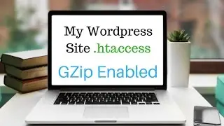 WordPress Site Speed With .htaccess Code GZip Compression Passed