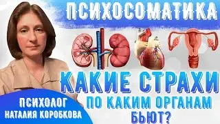 Какие страхи по каким органам 