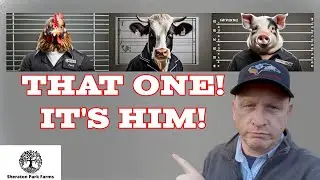 The 10 MOST Sold Items From Our Farm! - You Won’t Believe #2