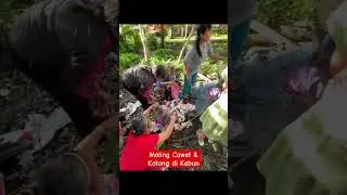 Maling Cawet & Kotang Di Kebun, Kepergok Emak - Emak