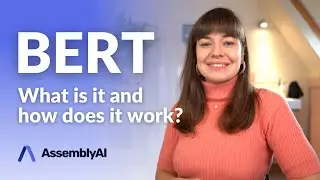 What is BERT and how does it work? | A Quick Review