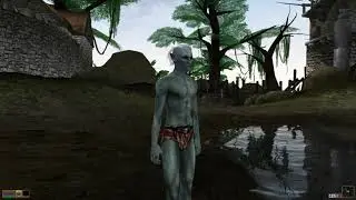 Elder Scrolls 3  Morrowind Моды на графику, одежду, лица и тела