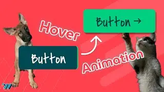 The ULTIMATE Guide to Hover Button CSS Animations