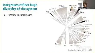 Thomas Hackl: Mobile elements abundant in marine vesicles shape Prochlorococcus' genomic plasticity