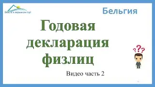 Заполнение декларации по доходам физических лиц в Бельгии на примерах. ЧАСТЬ 2