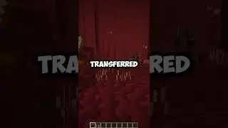 What The Nether Update Could've Been