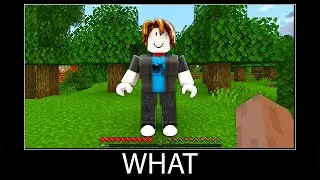 Minecraft wait what meme part 302 realistic minecraft Roblox