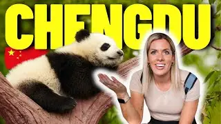 Seeing GIANT PANDAS in Chengdu, China 🇨🇳