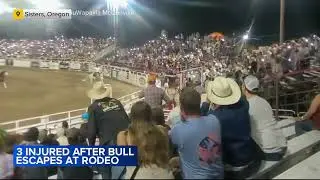 Rodeo bull jumps over arena fence, injuring 3 people, including Oregon sheriffs deputy