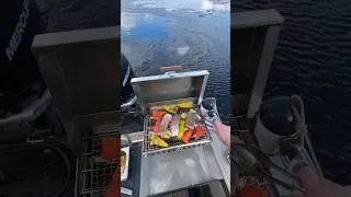 Сезон пикников на воде 2024 открыт! Ладога и крутая базовая опция Albakore 780 Cabin!