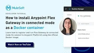 How to install Anypoint Flex Gateway in connected mode as a Docker container | Universal API Manager