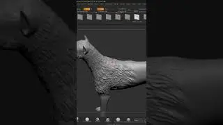 Zbrush fur sculpt 