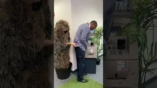 Man's money is stolen by a fake tree behind him 