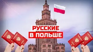 Русские в Польше: Как живут и зачем переезжают в Варшаву. Русский язык, русофобия, поляки и украинцы