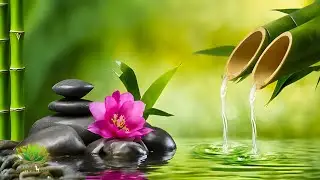 Beautiful Relaxing Piano + Water Sounds: Sleep, Healing, Meditation & Spa Music, Bamboo, Zen Music