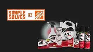 How to Get Rid of Ants (Fast & Easy) | The Home Depot Canada