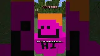 the most unknown item in minecraft