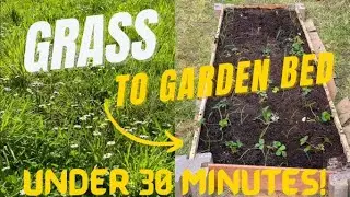 Build Cheap DIY Raised Garden Beds | No tools, no problem