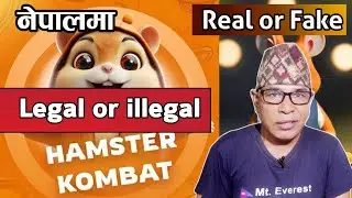 Hamster Kombat Legal or illegal in Nepal? Hamster Kombat is Real or Fake? Play or Not play