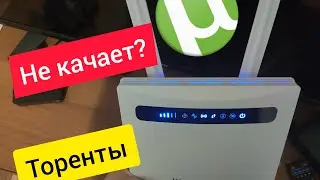 📶Роутер World Vision 4G Connect не СКАЧИВАЕТ торенты. Решение найдено. Инструкция📒