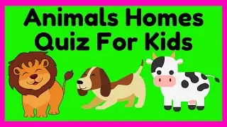 Animals Homes Quiz for Kids | Animals Habitat